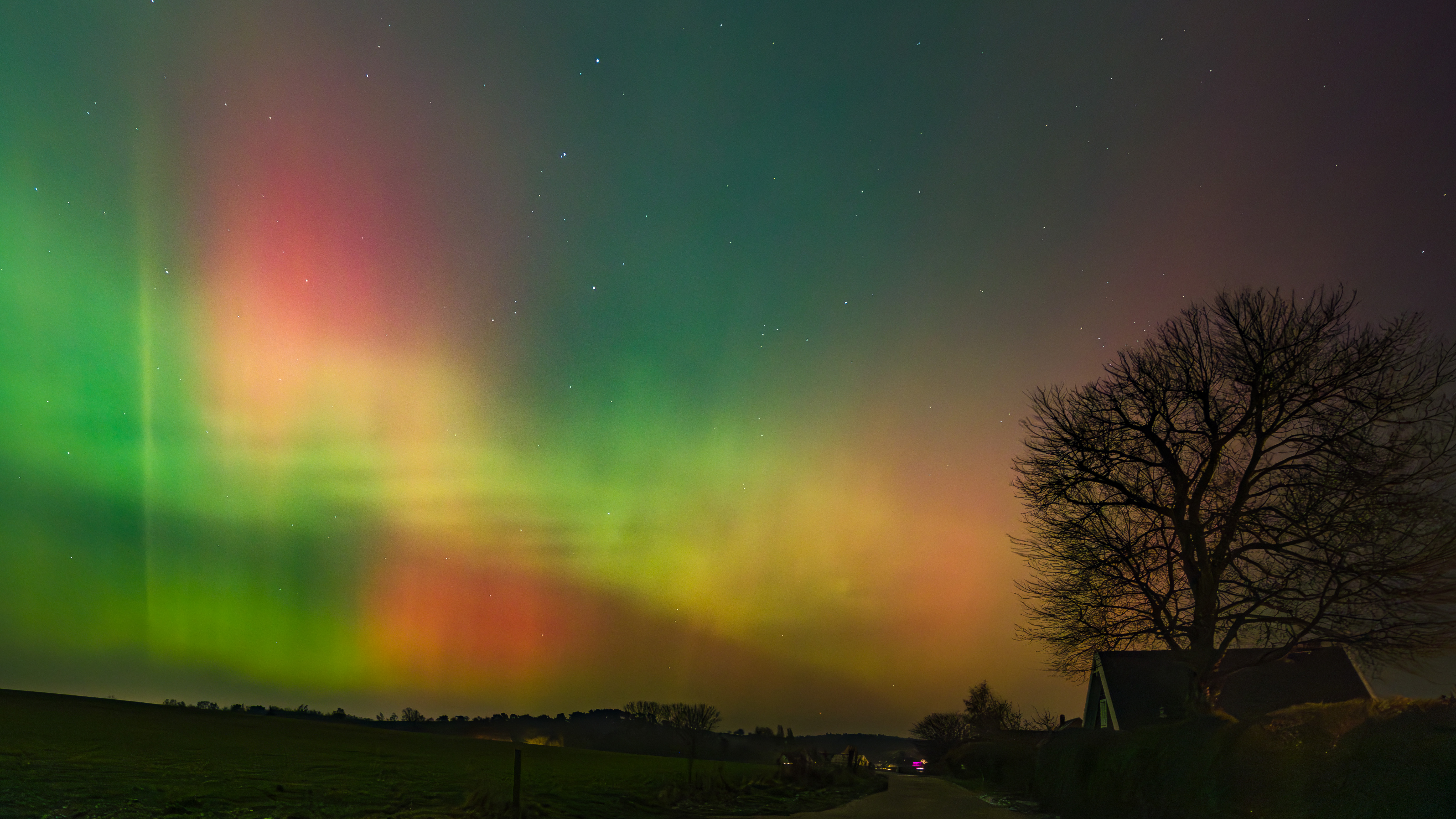 GMR52164 20260119 225053 14 mm 2.0 Sek. bei f   4,0 ISO 2500